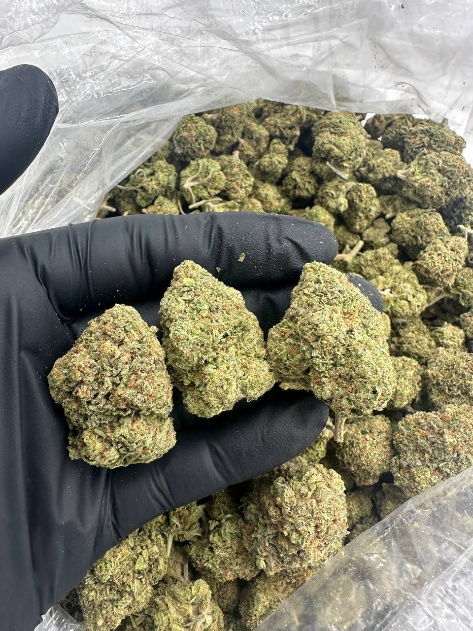 G47