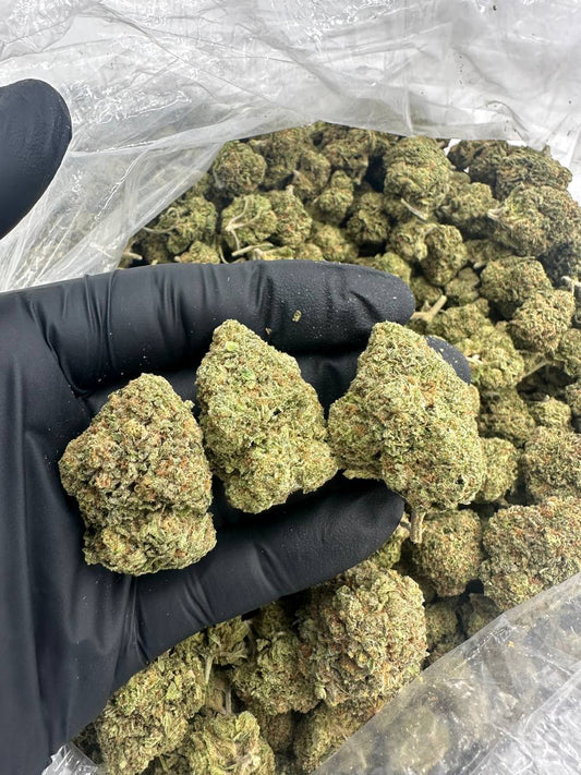 G47