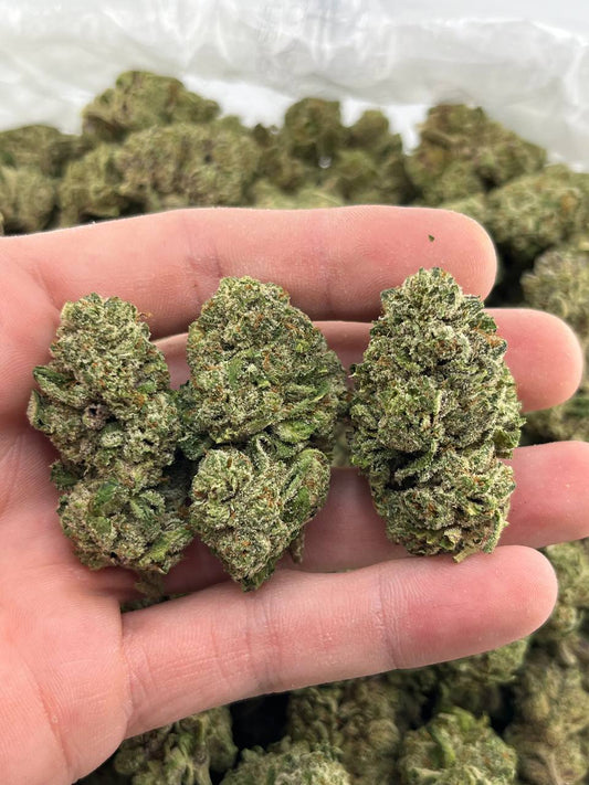 Purple Zushi (Dep)