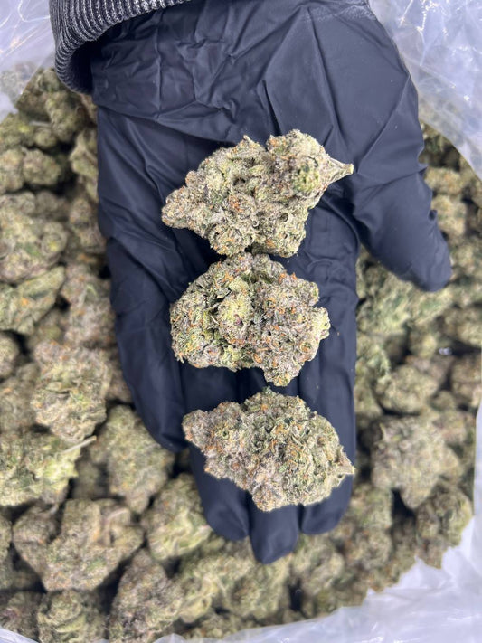 E85 (Indoor)
