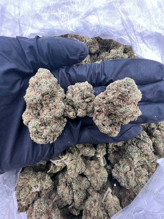 Presidential OG (Indoor)