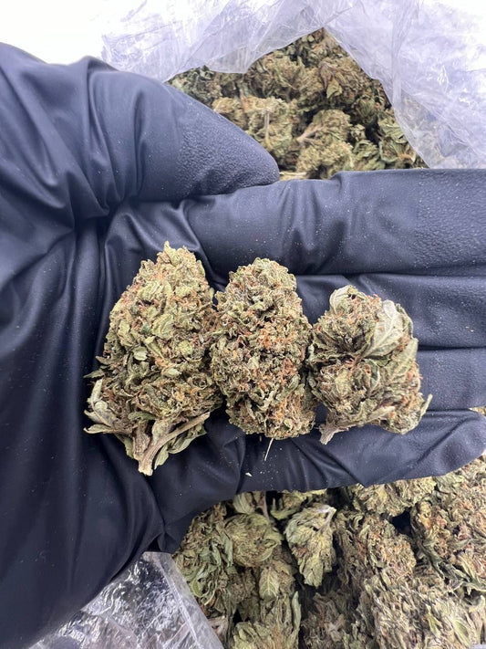 Apple Fritter (Lows)